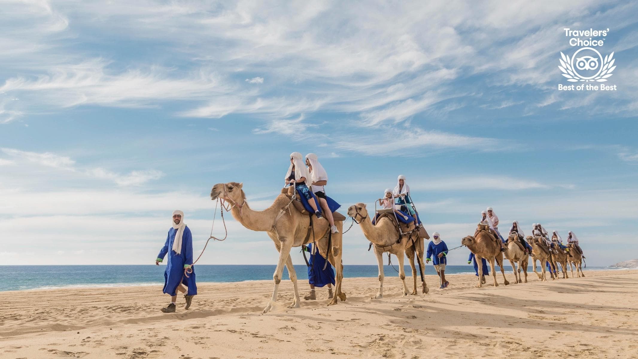 Outback Cabo Camel Ride